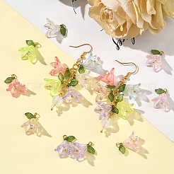 48шт 8 цвета прозрачные акриловые подвески&nbsp;FIND-SC0016-70