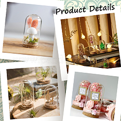 Крышка стеклянного купола 16 шт.&nbsp;AJEW-SC0001-55B