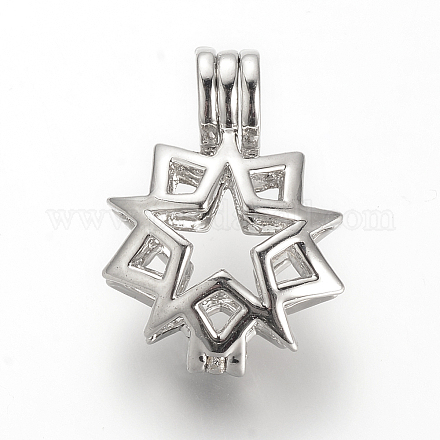 Подвески медальона аллора&nbsp;X-PALLOY-S062-25P-1