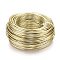 Anodized Aluminum Wire, Bendable Metal Craft Wire, Flexible Craft Wire, for Beading Jewelry Craft Making, Light Gold, 12 Gauge, 2.0mm, 55m/500g(180.4 Feet/500g)