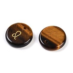 Природных тигровый глаз подвески&nbsp;G-K359-04D