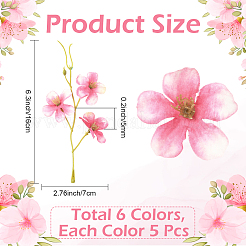 30шт. 6-х цветная искусственная ветка цветущей сливы&nbsp;AJEW-SC0031-59