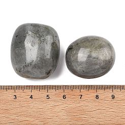 Природные лабрадорита бисер&nbsp;G-G348-01B-10