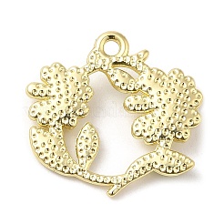 Подвески из сплава &nbsp;LS-PALLOY-D019-10G