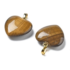 Природных тигровый глаз подвески&nbsp;G-G956-B01-G