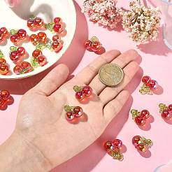 20шт прозрачные акриловые подвески&nbsp;TACR-CJ0001-56