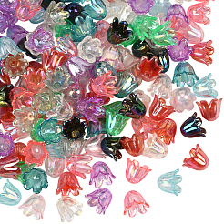 500шт 10 цвета акриловые колпачки для бусин&nbsp;OACR-SC0002-32