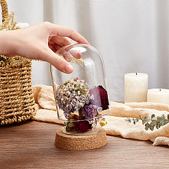 Стеклянный купол&nbsp;AJEW-WH0314-446C