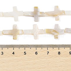 Нити бусин из натуральных пресноводных ракушек&nbsp;BSHE-G036-05B