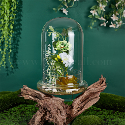 Стеклянный купол&nbsp;DJEW-WH0099-06C