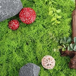 150 г искусственных камней из мха&nbsp;DJEW-SP0001-22B