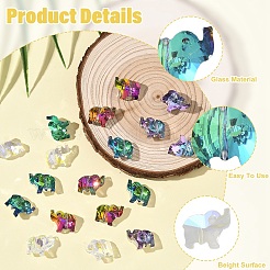 20 шт. Прозрачные стеклянные бусины&nbsp;GLAA-YW0005-34