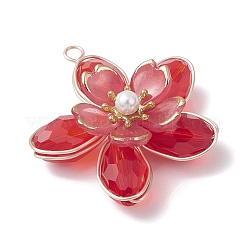 Стеклянные подвески&nbsp;PALLOY-TA00319-02