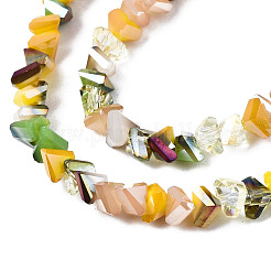 Стеклянные бусины с гальваническим покрытием &nbsp;EGLA-N002-09-06D