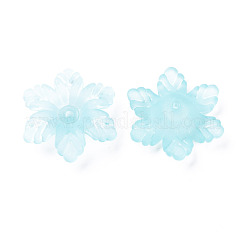 Прозрачные акриловые бусины&nbsp;MACR-S373-117-D07