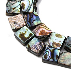 Природные пауа бусы нити&nbsp;BSHE-ZX006-07B