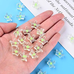 Прозрачные акриловые бусины&nbsp;MACR-S373-105-B06