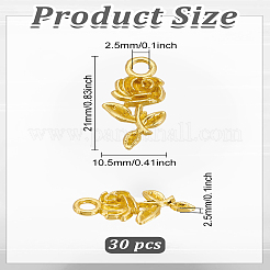 30 шт. Подвески из сплава в тибетском стиле&nbsp;FIND-LP0004-68G