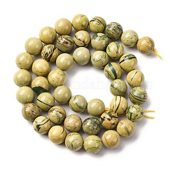 Нити бусин из натурального камня вердит&nbsp;G-C242-03-8mm