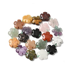 Смешанные природных драгоценных камней цветочные бусины нити&nbsp;G-L241A-07