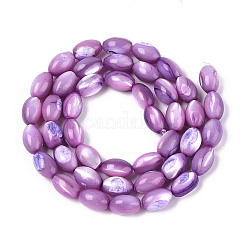 Нити бусин из натуральной ракушки трохус&nbsp;SHEL-K006-19-01D