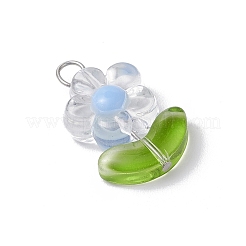 Прозрачные акриловые подвески&nbsp;PALLOY-JF03713-01