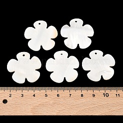 Подвески из раковины&nbsp;PBB180Y