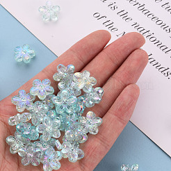 Прозрачные акриловые бусины&nbsp;TACR-S154-45C-754