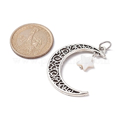 Сплав луна подвески&nbsp;PALLOY-JF02290-02