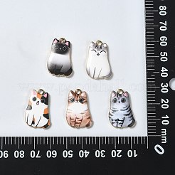 30шт 5 стиля подвески из сплава с эмалью&nbsp;ENAM-CJ0004-47