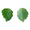 Plastic Pendants, Leaf, Green, 19x14x1.5mm, Hole: 0.9mm