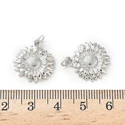 Латунные подвески&nbsp;LS-KK-I381-02P