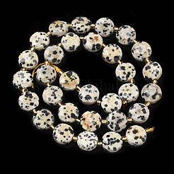 Природные яшмы далматин бисер нитей&nbsp;G-C116-A187-01