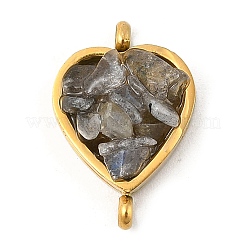 Подвески в форме сердца из нержавеющей стали 304 с натуральным смешанным драгоценным камнем&nbsp;KK-P300-31G