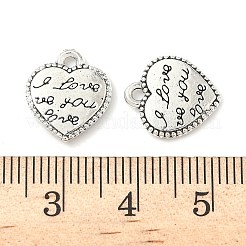 Подвески из сплава в тибетском стиле&nbsp;FIND-B050-15AS