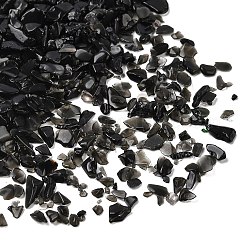 Природные обсидиана бисер чип&nbsp;G-L453-08