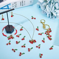 40шт подвески из стекла и акрила из бисера&nbsp;FIND-SZ0003-73