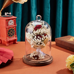 Стеклянный купол&nbsp;AJEW-WH0270-199