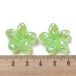 Цвет AB покрытием акриловые бусины&nbsp;LS-OACR-G034-01B