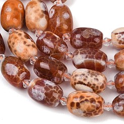 Природные пожары треск агат бисер нитей&nbsp;G-K393-G05-13x18