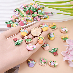 60шт 3 стиля непрозрачные кабошоны из смолы&nbsp;RESI-YW0002-02