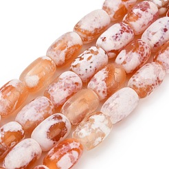 Нити бусин из натурального агата (окрашенного и нагретого)&nbsp;G-D341-A01