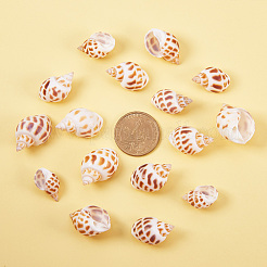 Спиральные подвески оболочки&nbsp;SSHEL-PH0001-03