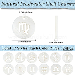 24 шт. 12 стиля 12 созвездия натуральные пресноводные ракушки полые плоские круглые подвески&nbsp;SHEL-BBC0001-12