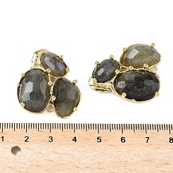 Соединители из натурального лабрадорита&nbsp;G-E526-28F