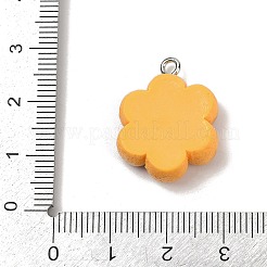 Подвески из непрозрачной смолы&nbsp;RESI-Q020-05A