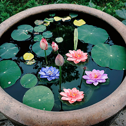 16 шт. 8 цвета искусственный лотос eva&nbsp;DIY-FH0010-33