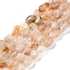 Натуральные вишневые агатовые бусины&nbsp;G-G146-A31-01