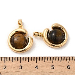 Природных тигровый глаз подвески&nbsp;KK-M270-40G