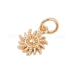 Латунь подвески&nbsp;LS-KK-Q096-18G